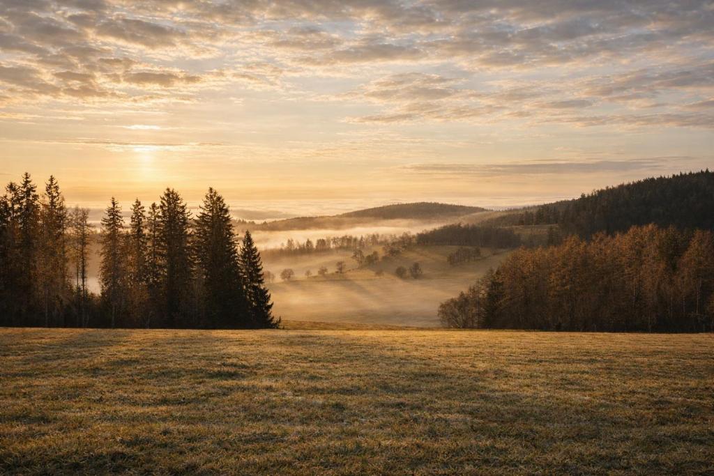 Lokalita Javorná na Šumavě – okolí apartmánu s horskou přírodou