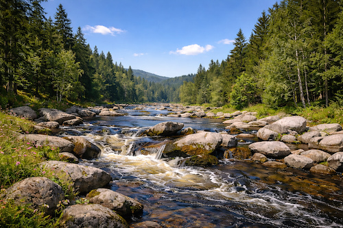 Výlety s dětmi na Šumavě z Javorné