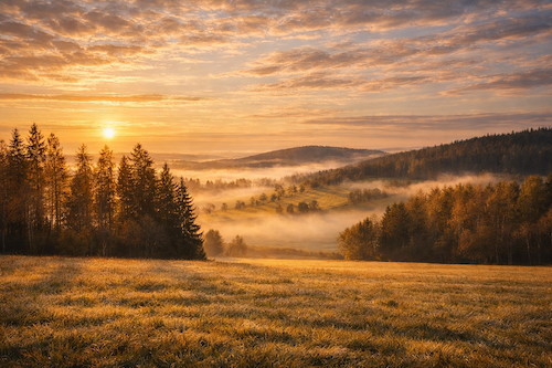 Lokalita Javorná na Šumavě