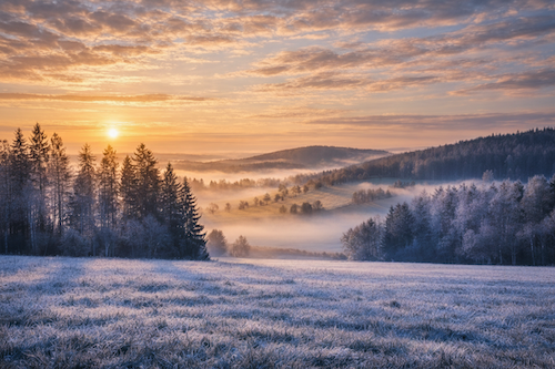 Lokalita Javorná na Šumavě