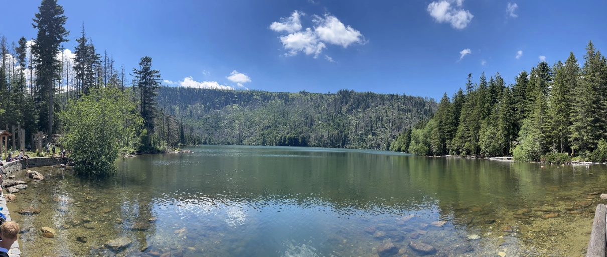 Černé jezero – výhled ze stezky obklopené lesem