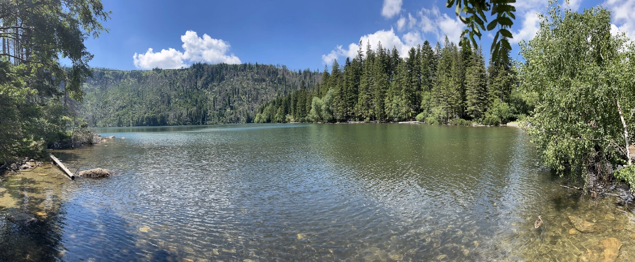 Černé jezero – hladina ledovcového jezera na Šumavě