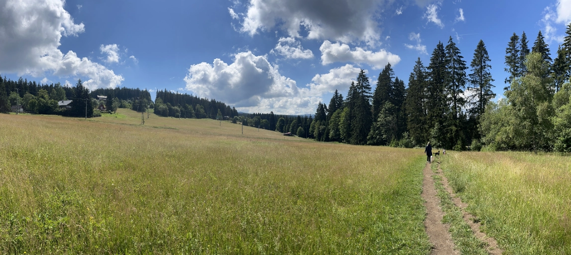 Čertovo jezero – klidné jezero v lese na Šumavě