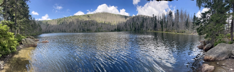 Čertovo jezero – temná hladina obklopená smrkovým lesem