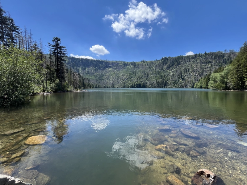 Černé jezero – čistá voda a lesnatý svah ledovcového jezera