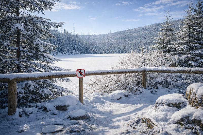Jezero Laka – rašelinné jezero na Šumavě