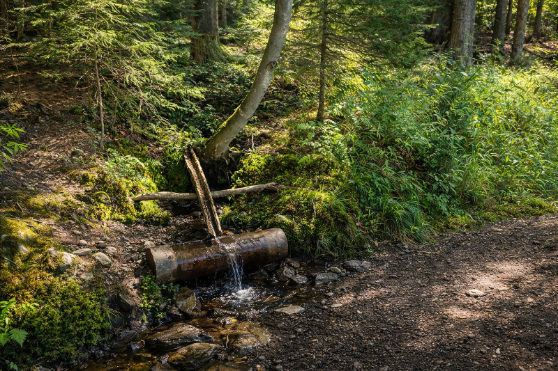 Jezero Laka – rašelinné jezero na Šumavě