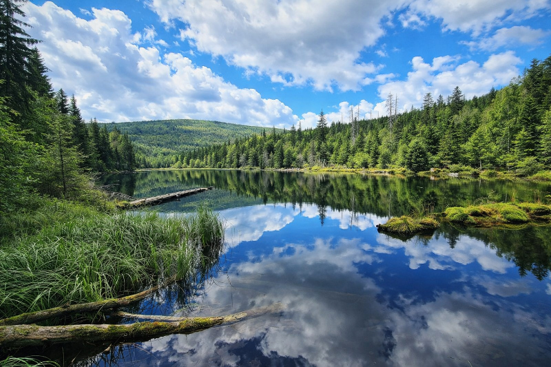 Jezero Laka – rašelinné jezero na Šumavě