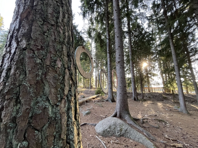 Mravenčí stezka v Srní – údolí Hrádeckého potoka