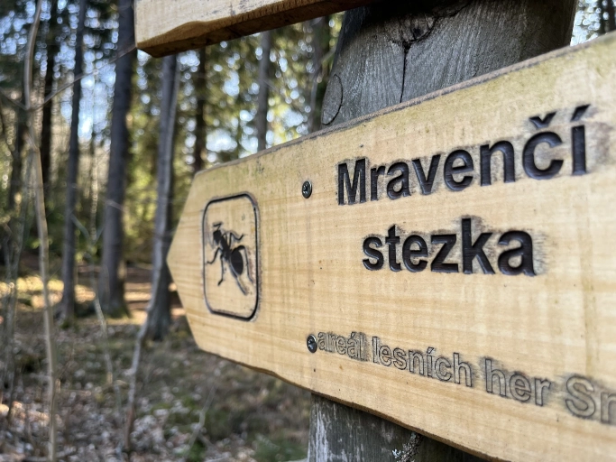 Mravenčí stezka v Srní – zastavení u studánky