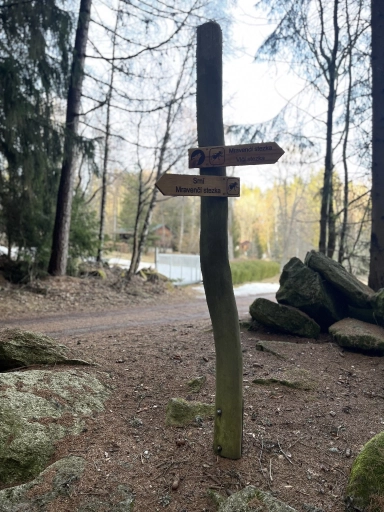 Mravenčí stezka v Srní – procházka lesem s dětmi
