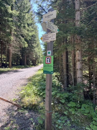 Prášilské jezero – zpevněná lesní cesta k jezeru