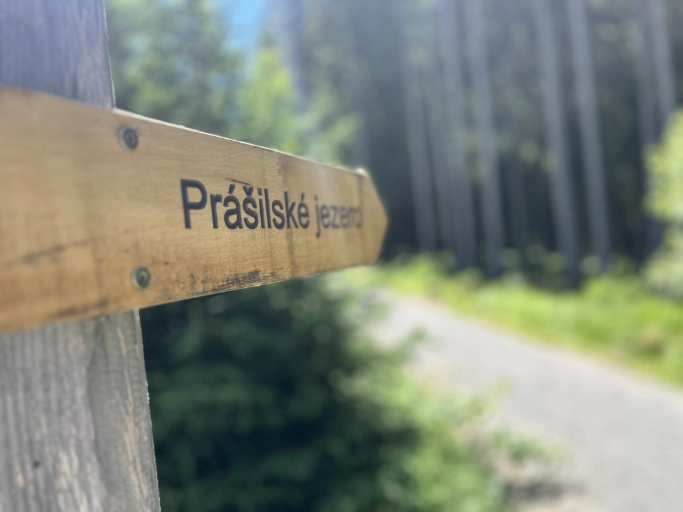 Prášilské jezero – cyklistická trasa směrem k Poledníku