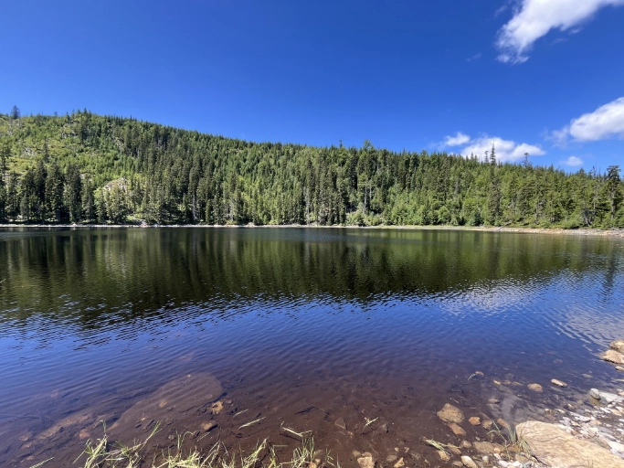 Prášilské jezero – klidná hladina obklopená lesy