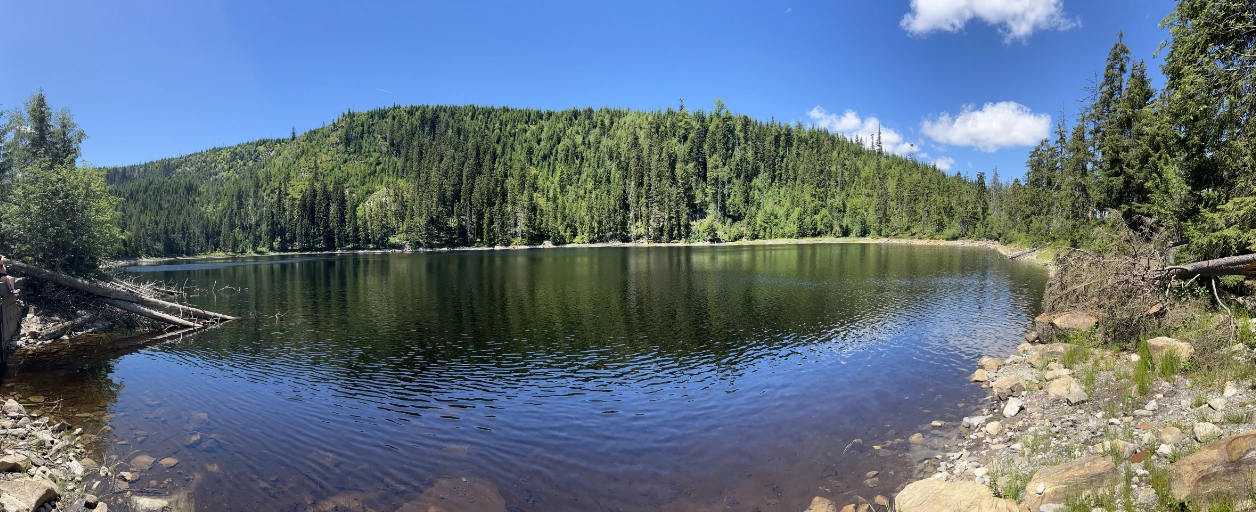 Prášilské jezero – pohodová túra z parkoviště Slunečná
